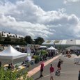 Être Emploi, présent au Baieball cup d’Avranches