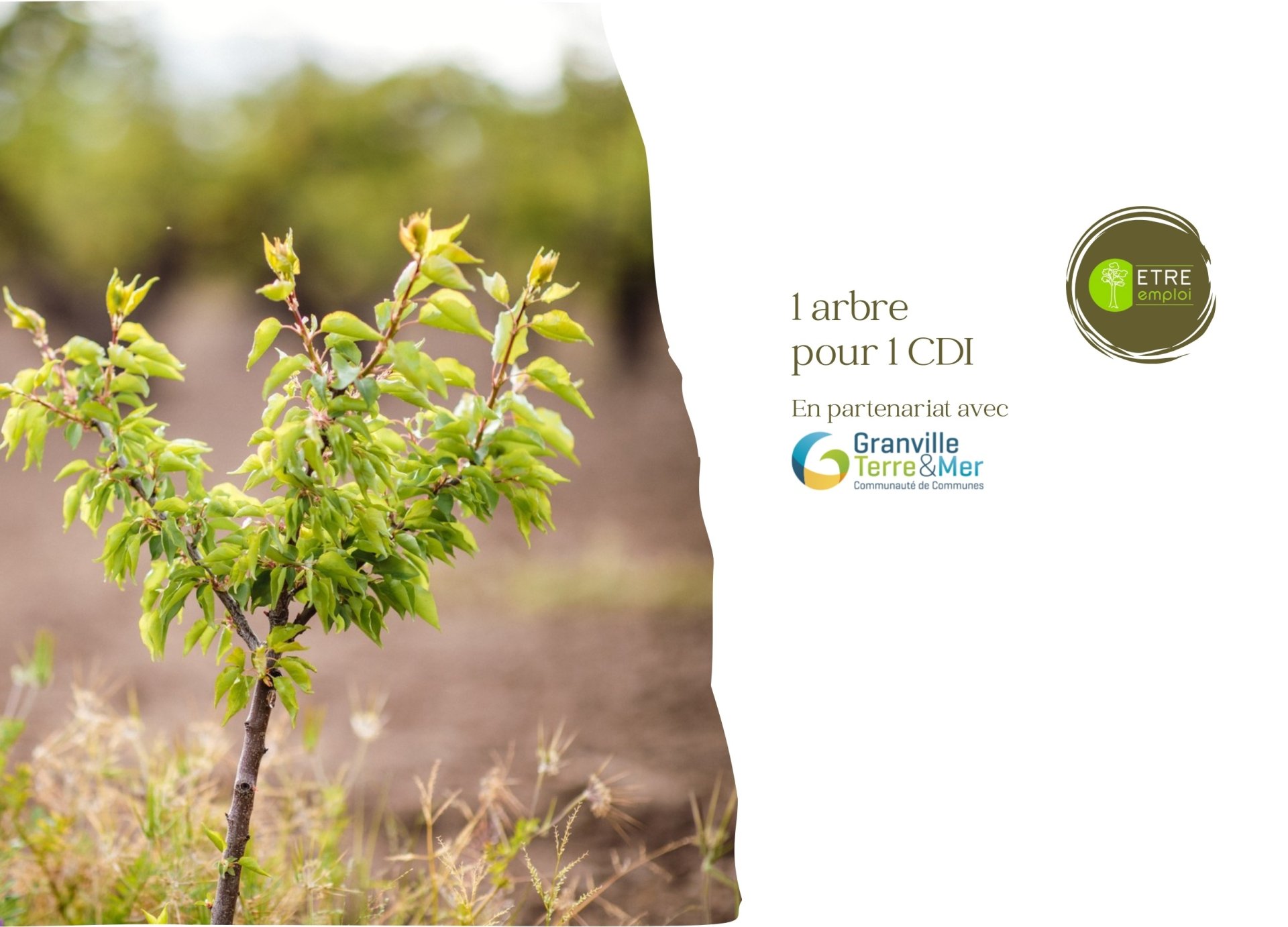 engagement pour l'environnement