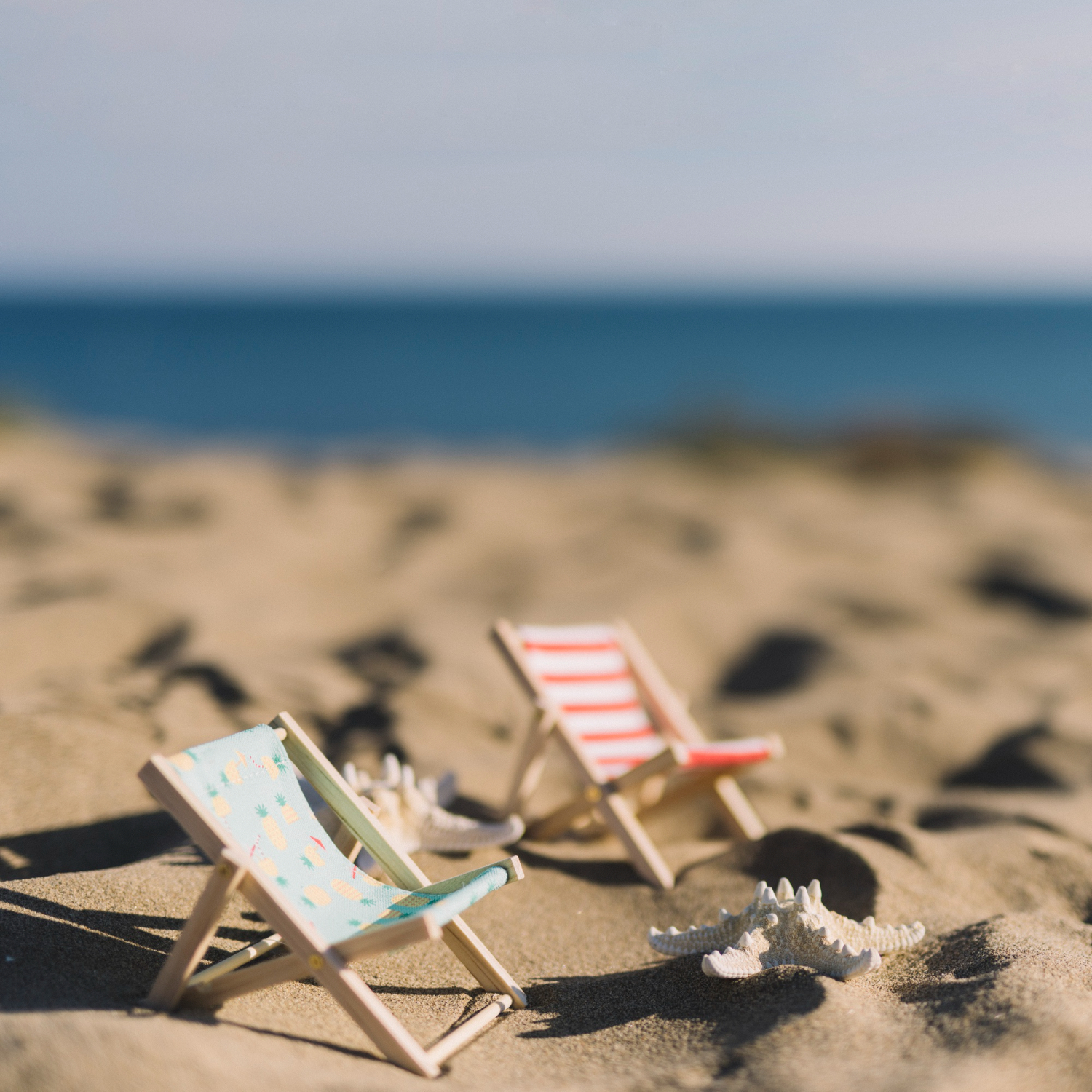 Des transats sur une plage de sable
